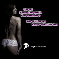 Gary Brodsky – Covert Neuro Linguistic Programming