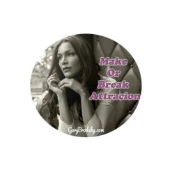 Gary Brodsky – Make Attraction, Break Attraction